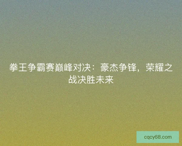 拳王争霸赛巅峰对决：豪杰争锋，荣耀之战决胜未来